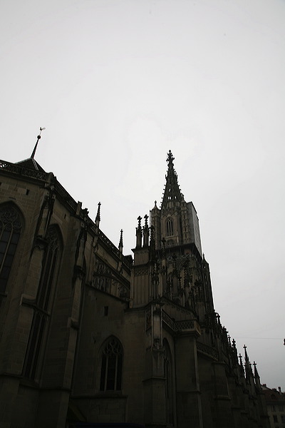11-01-08_switz_icnb-0145.jpg