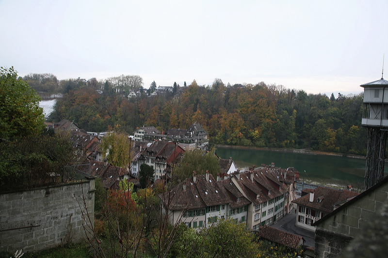 11-01-08_switz_icnb-0146.jpg