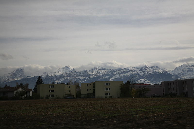 11-01-08_switz_icnb-1539.jpg