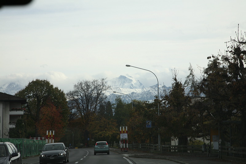 11-01-08_switz_icnb-1543.jpg