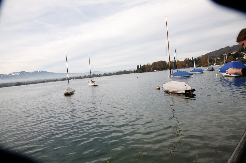 11-01-08_switz_icnb-1551.jpg