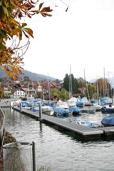 11-01-08_switz_icnb-1595.jpg