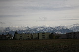 11-01-08_switz_icnb-1539